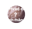 HvadErEnMåne